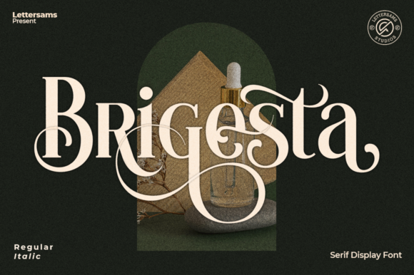 Exploring the Brigesta Font: An In-Depth Look at Its Style and Application