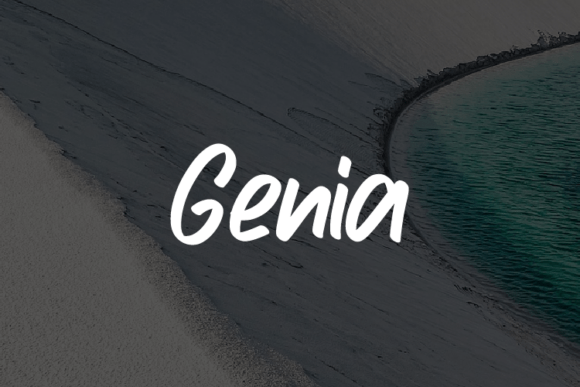Genia Typeface: An Evaluation of Its Design, Flexibility, and Practical Applications
